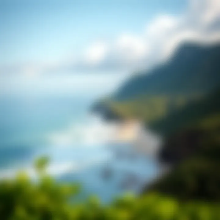 Scenic view of Tigertail Beach showcasing its natural beauty