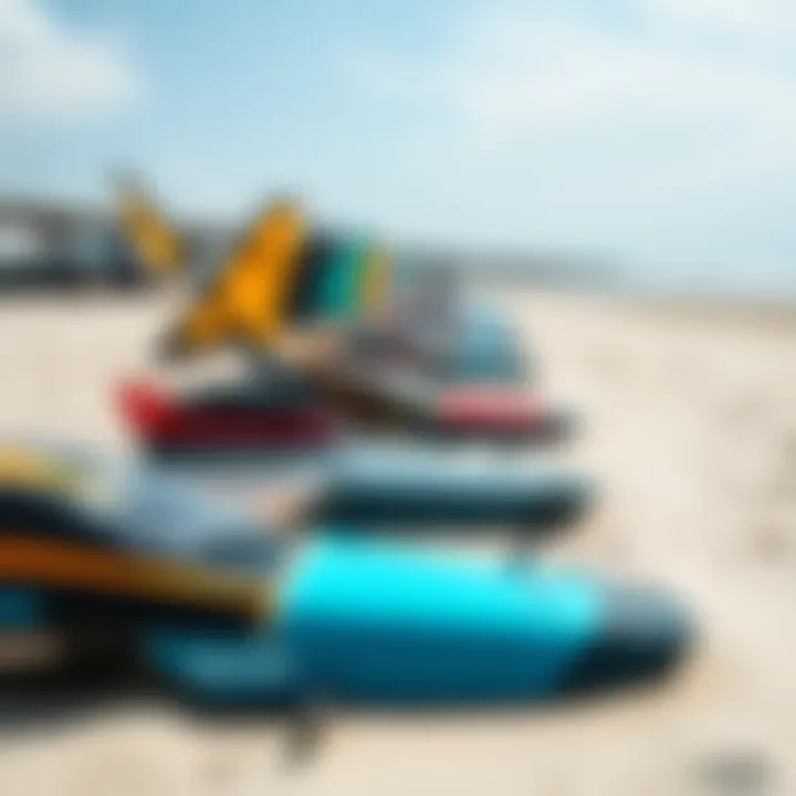 Comparison of Wing Craft Types A comparison of different wing craft types laid out on a beach