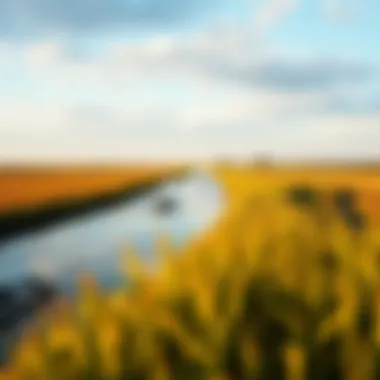 The intricate network of dikes and waterways that define Zeeland's unique geographical landscape.