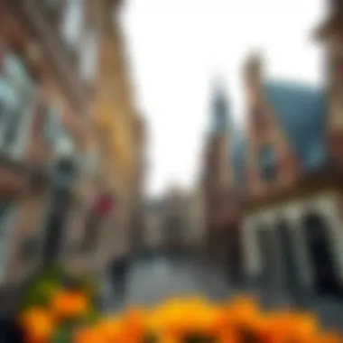 Historical architecture in Zeeland reflecting its rich past