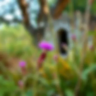 Wildlife and natural flora surrounding Fort Clinch