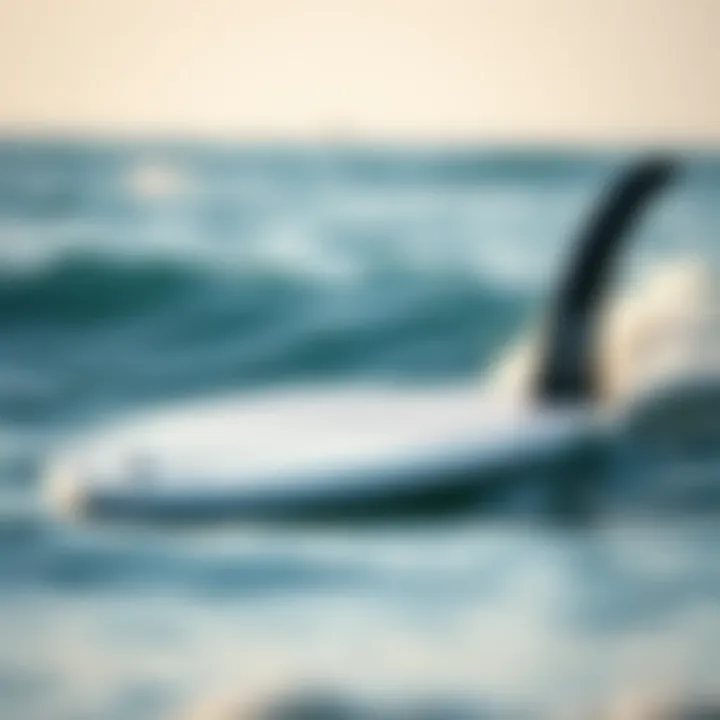 Traditional vs Hydrofoil Surfboard Comparison of traditional surfboard and hydrofoil surfboard