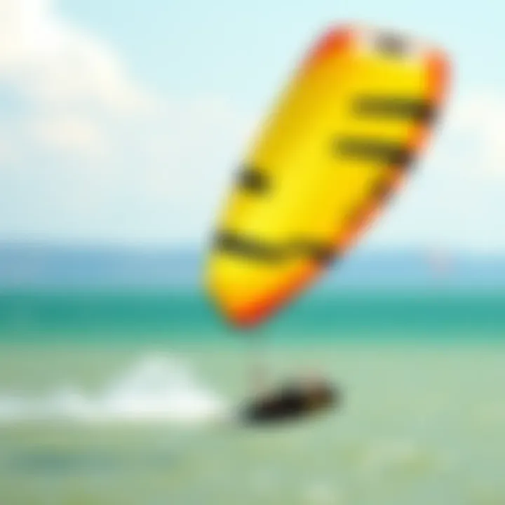 A Well-Maintained Kite Ready for Action Well-maintained kite ready for the water