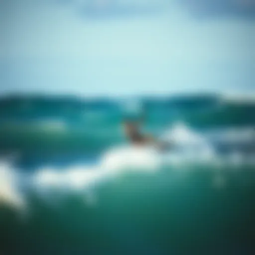 A kiteboarder navigating through waves, showcasing skill and control.