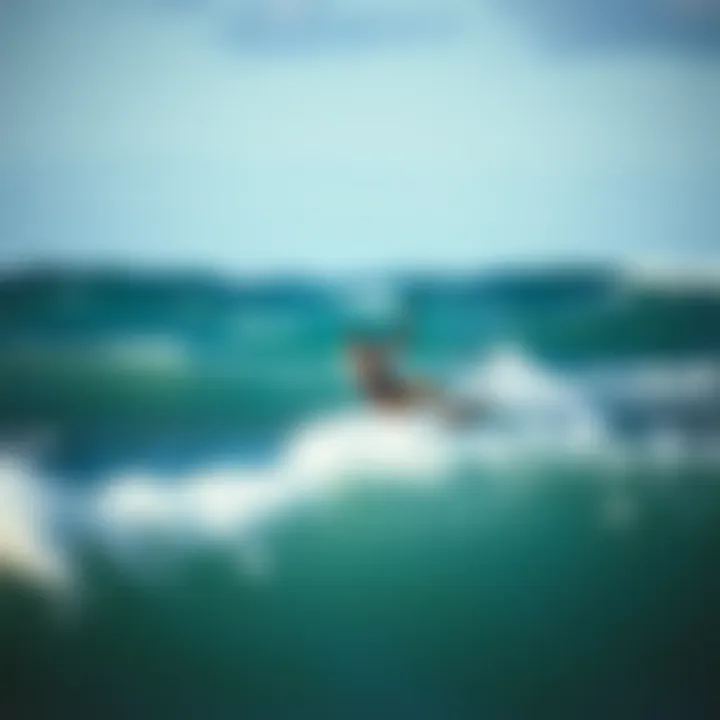 A kiteboarder navigating through waves, showcasing skill and control.