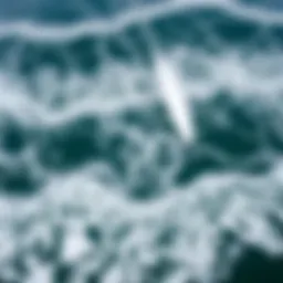 Aerial view of Lake Erie showcasing dynamic wave patterns