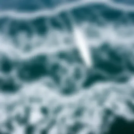 Aerial view of Lake Erie showcasing dynamic wave patterns