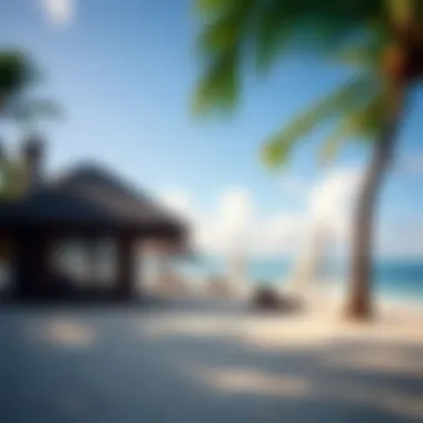 Tranquil Beachside Retreat Relaxing beach scene at Coconut Bay