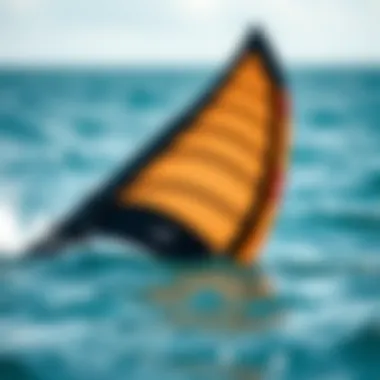 Innovative Design Elements of Ocean Rodeo Wing Close-up of Ocean Rodeo Wing design features