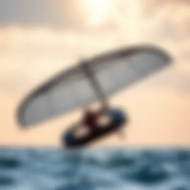 The Dynamic Flight of the Ocean Rodeo Wing Ocean Rodeo Wing flying over water