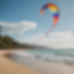 A vibrant light wind kite soaring above a tranquil beach