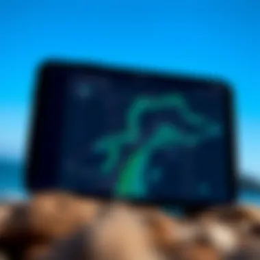 Wind Forecasting Map Interface Map interface of a wind forecasting application