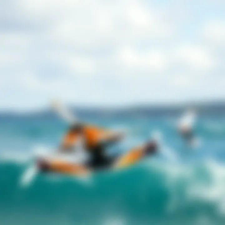 Materials for Enhanced Durability and Flexibility Materials used in wing construction emphasizing durability and flexibility