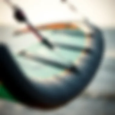 Innovative Design of the Skywalker Kite Close-up view of the innovative design features of the Skywalker kite