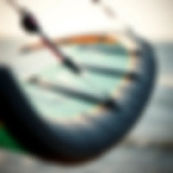 Innovative Design of the Skywalker Kite Close-up view of the innovative design features of the Skywalker kite