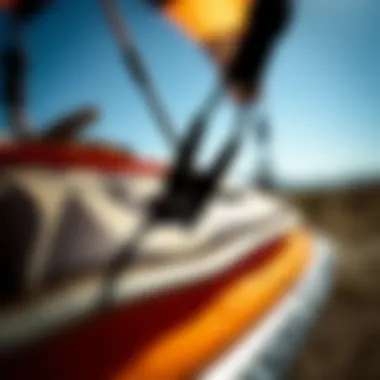 Design Features of the 2010 Slingshot Kite Close-up view of the unique design elements and materials used in the 2010 Slingshot kite