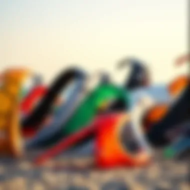 Diverse Collection of Kites A collection of various kite models displayed on a beach