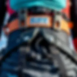 Close-up of a waist harness showcasing its intricate design