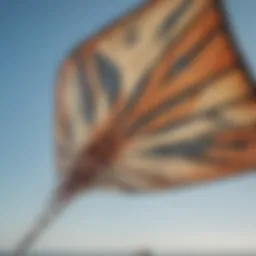 Close-up of a small kite showcasing its intricate design and materials