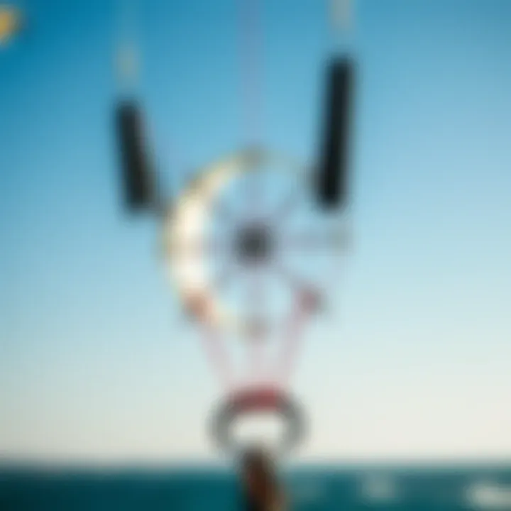 Intricate Design of a Trainer Kite Close-up of the intricate design of a trainer kite