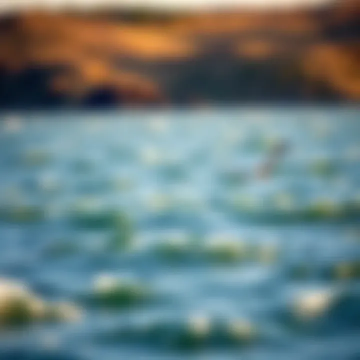 Technological Advancements in Hydrofoil Design Graph depicting technological advancements in hydrofoil design