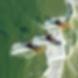 Aerial view of Seaside Heights showcasing kiteboarders in action