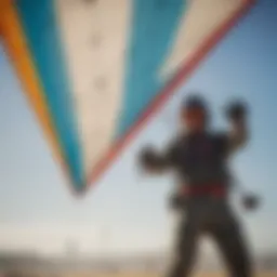 Detailed view of kite components including the canopy and lines