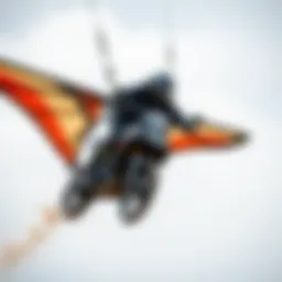 A rider demonstrating optimal wing size for performance