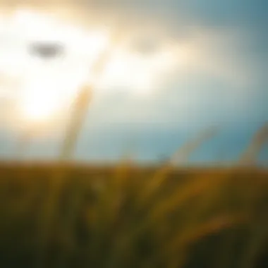 Weather patterns visualized on radar affecting local activities