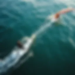 Aerial view showcasing the dynamic movement of windsurf wings on the water