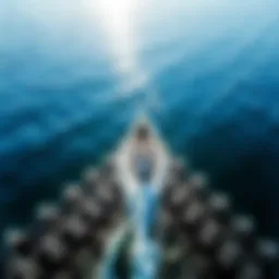 A stunning view of a wingfoil boarder gliding across the water