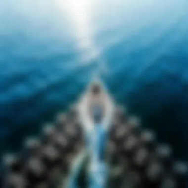 Gliding on Water: The Art of Wingfoil SUP A stunning view of a wingfoil boarder gliding across the water