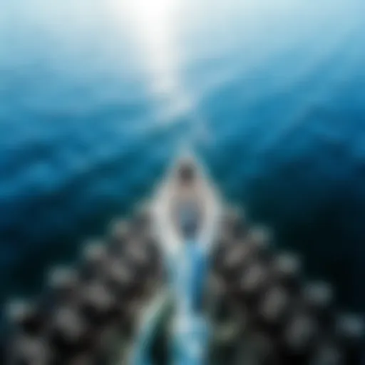 Gliding on Water: The Art of Wingfoil SUP A stunning view of a wingfoil boarder gliding across the water