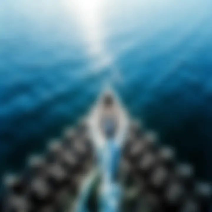 Gliding on Water: The Art of Wingfoil SUP A stunning view of a wingfoil boarder gliding across the water